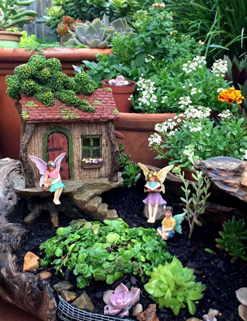 pretmanns fairy garden starter set create your own magical space
